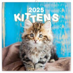 Koťata 2025 - nástěnný kalendář