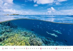 Sea 2025 - nástěnný kalendář