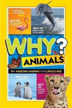 Why? Animals