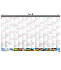 Kalendář nástěnný 2025 - Plánovací roční mapa A1 obrázková