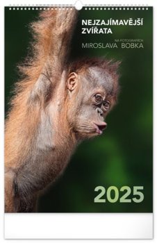 Nástěnný kalendář Nejzajímavější zvířata 2025