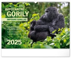 Nástěnný kalendář Impozantní gorily 2025