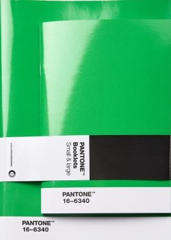 Pantone Zápisník tečkovaný, 2 velikosti - Green 16-6340