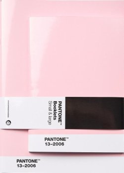 Pantone Zápisník tečkovaný, 2 velikosti - Light pink 13-2006