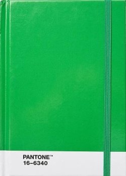 Pantone Zápisník tečkovaný S - Green 16-6340