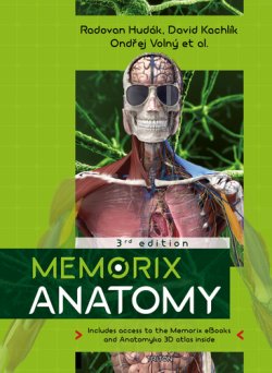 Memorix Anatomy