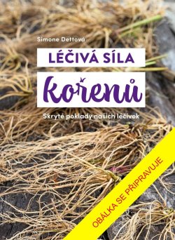 Léčivá síla kořenů